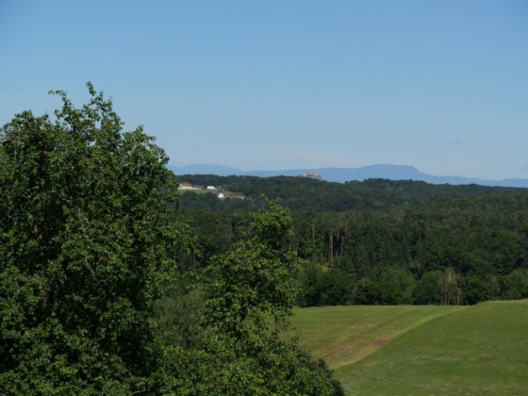 Hohenbrugg quer (5)