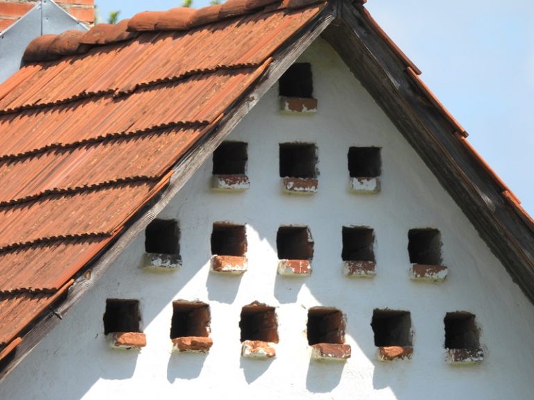 Kirchberg quer (39)