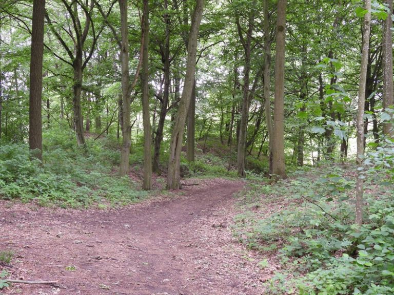 Kirchberg quer (43)