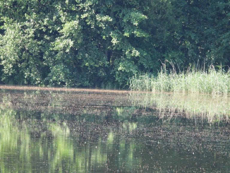 Kirchberg quer (53)
