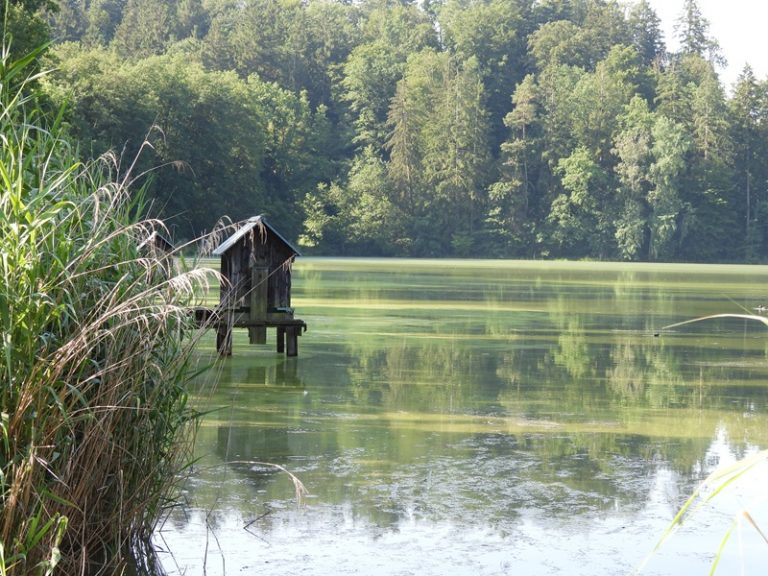 Kirchberg quer (57)
