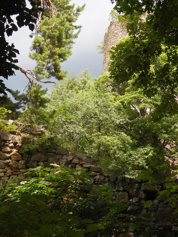 Landsee hoch (4)
