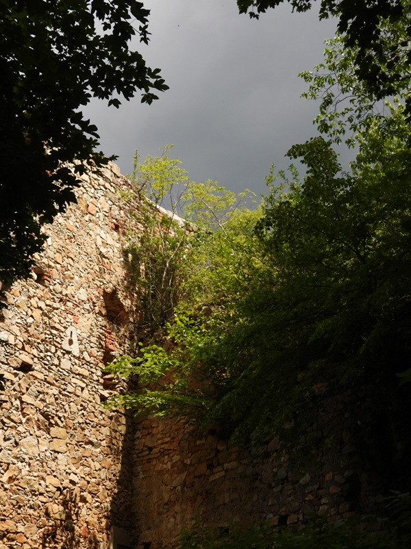 Landsee hoch (5)