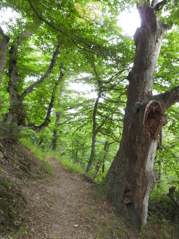 Landsee hoch (7)