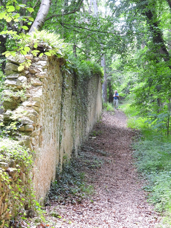 Landsee hoch (8)