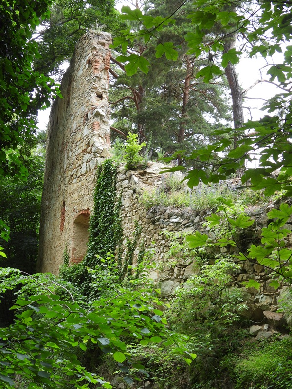 Landsee hoch (9)