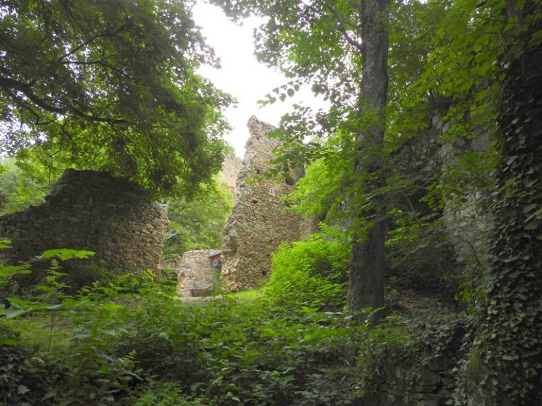 Landsee quer (13)