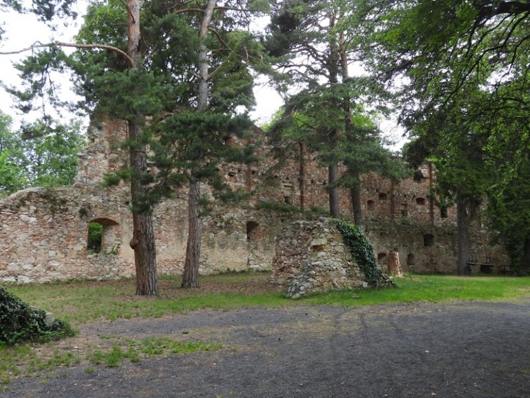 Landsee quer (16)