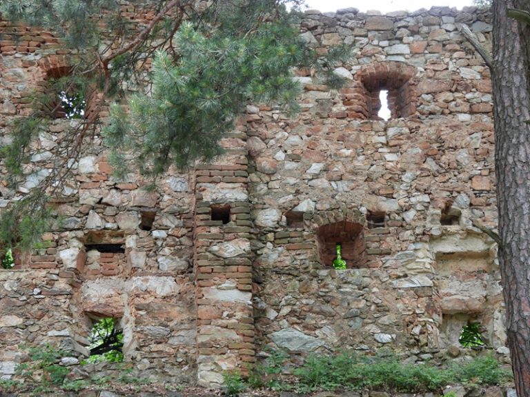 Landsee quer (17)