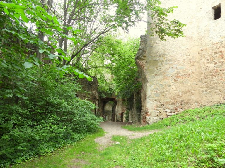 Landsee quer (20)