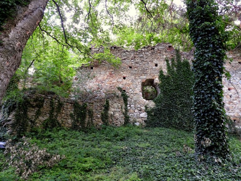 Landsee quer (35)