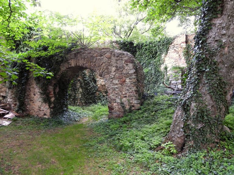 Landsee quer (36)