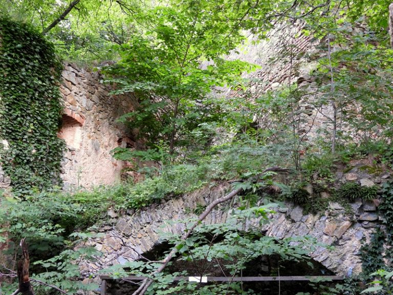 Landsee quer (37)