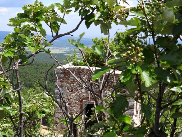 Landsee quer (42)