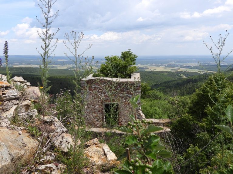 Landsee quer (46)