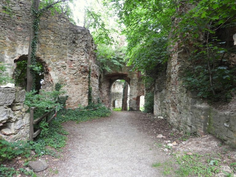 Landsee quer (48)