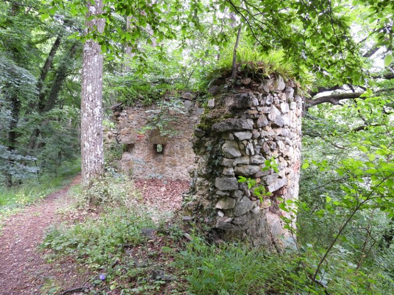Landsee quer (6)
