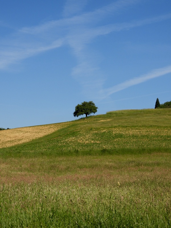 Loipersdorf hoch (7)