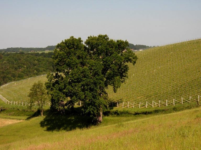Loipersdorf quer (14)