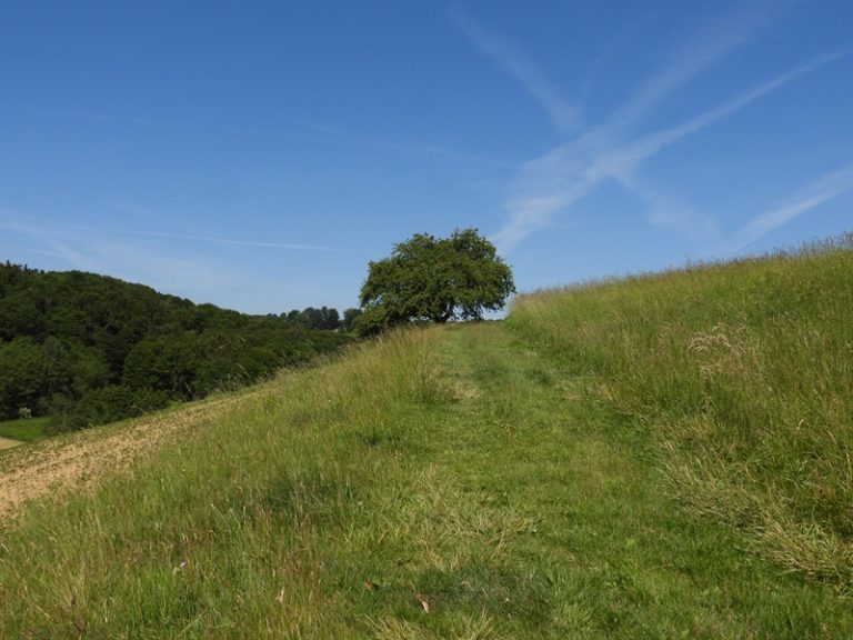 Loipersdorf quer (19)
