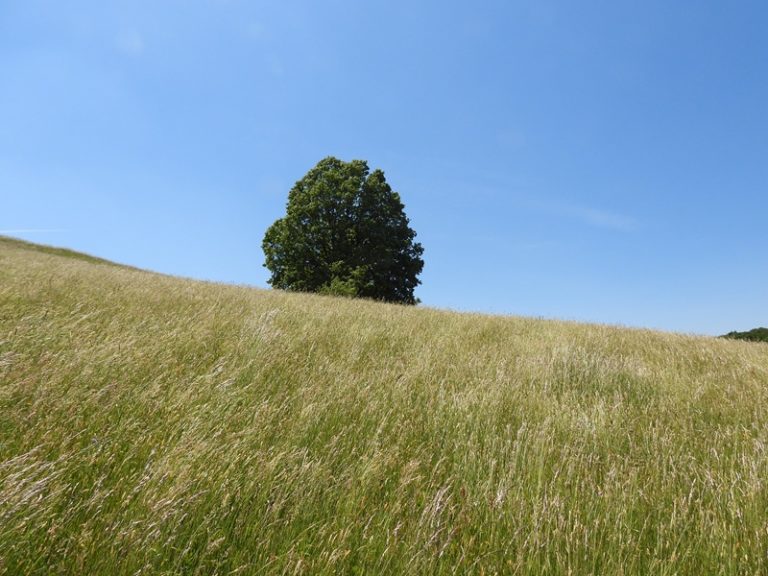 Loipersdorf quer (23)
