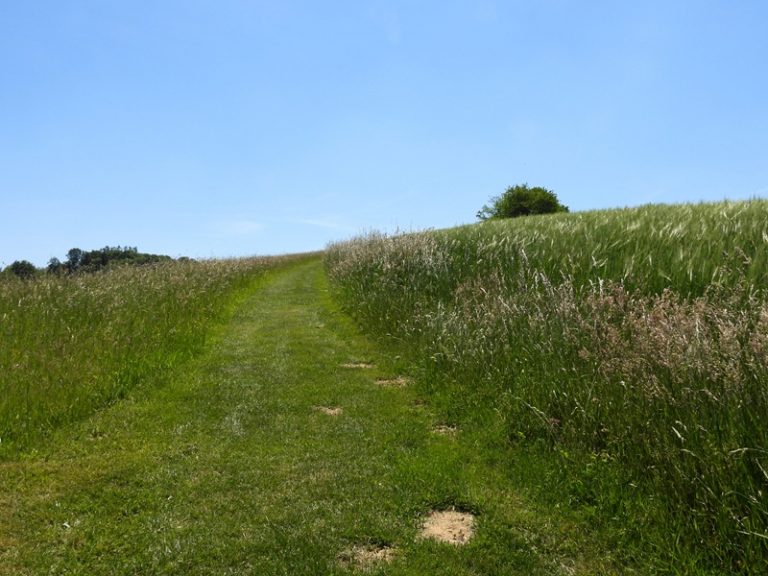Loipersdorf quer (25)