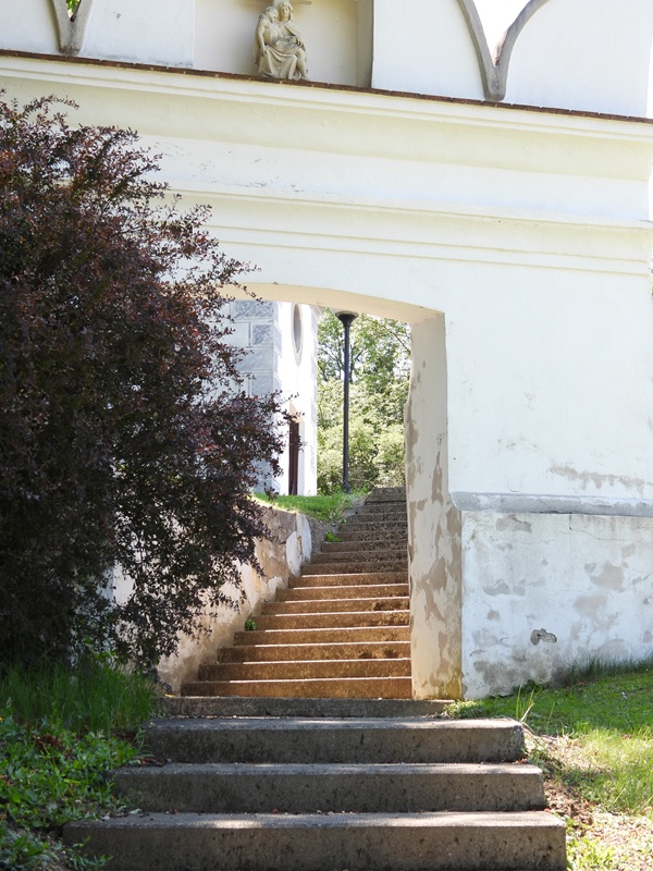 Lutzmannsburg hoch (5)