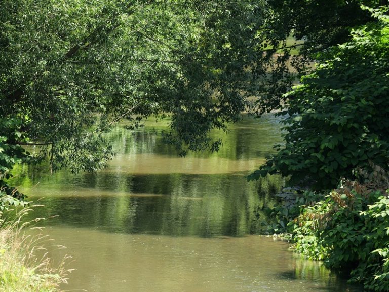Lutzmannsburg quer (15)