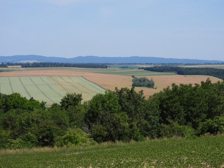 Lutzmannsburg quer (33)