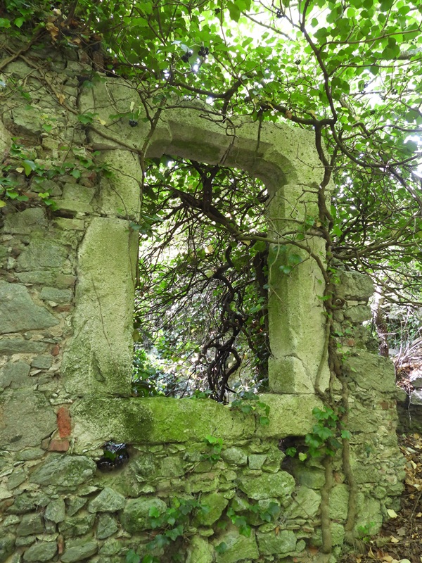 Mannersdorf hoch (10)