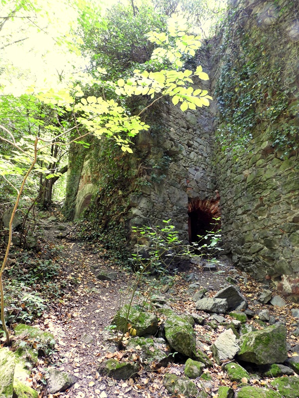 Mannersdorf hoch (9)