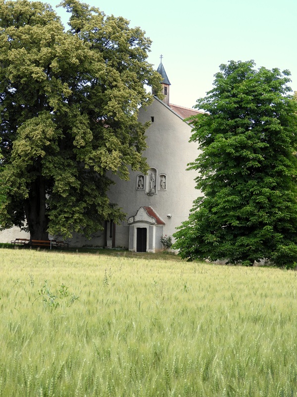 Rohrbacher Teichwiese hoch (1)