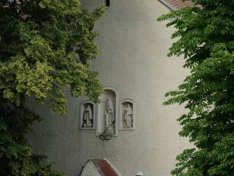 Rohrbacher Teichwiese quer (18)