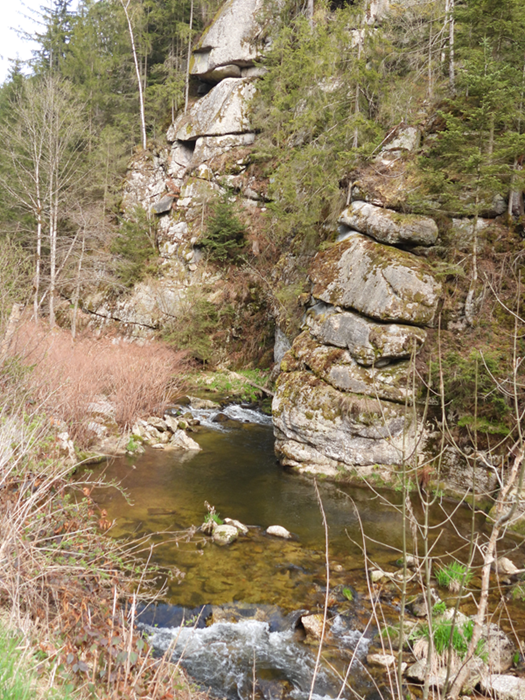 Ruttenstein hoch (1)