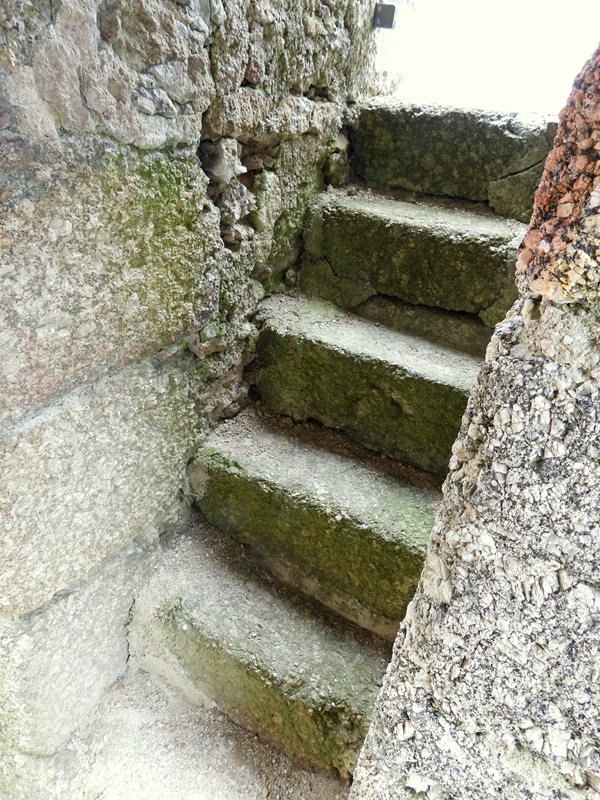 Ruttenstein hoch (7)