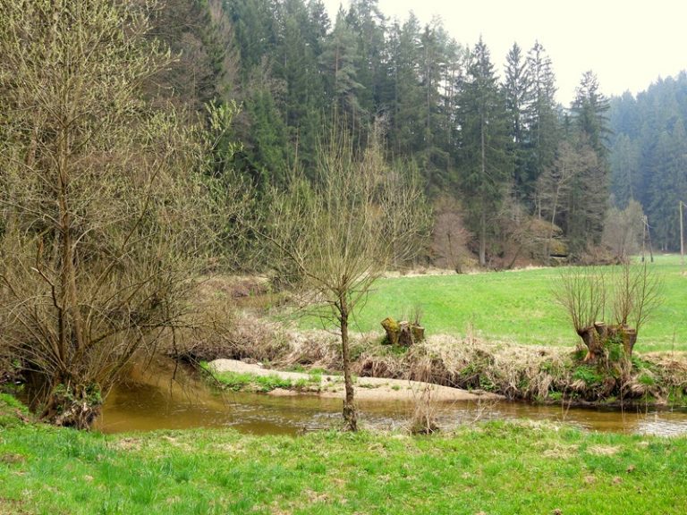 Ruttenstein quer (23)