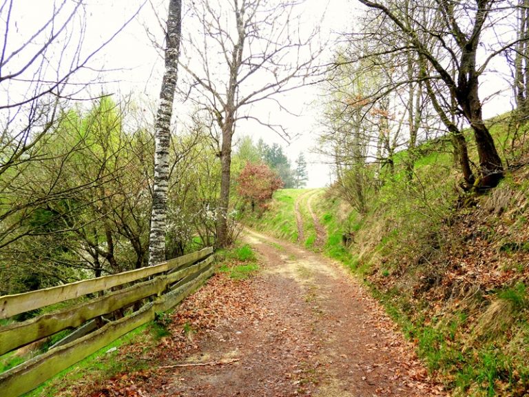 Ruttenstein quer (24)