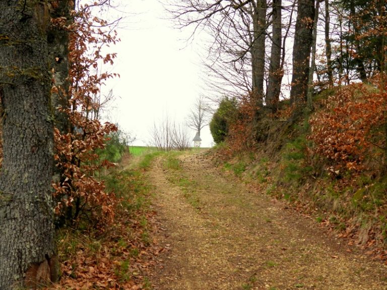 Ruttenstein quer (26)