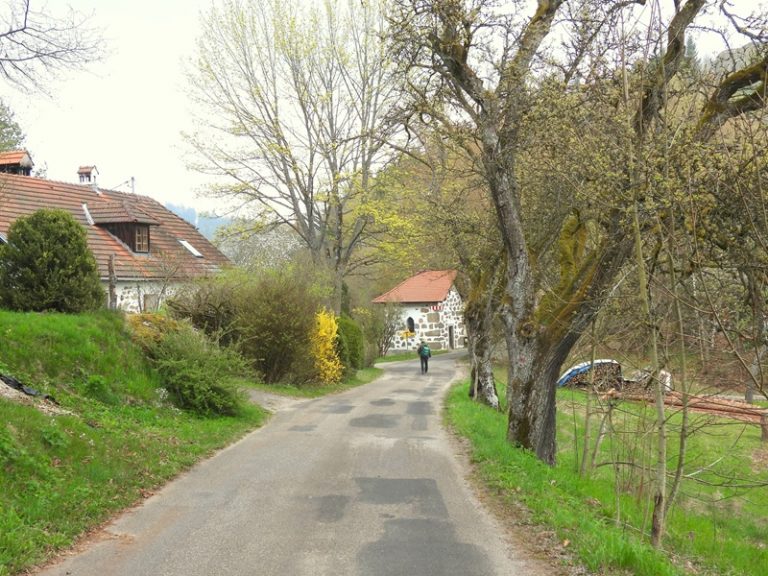 Ruttenstein quer (28)