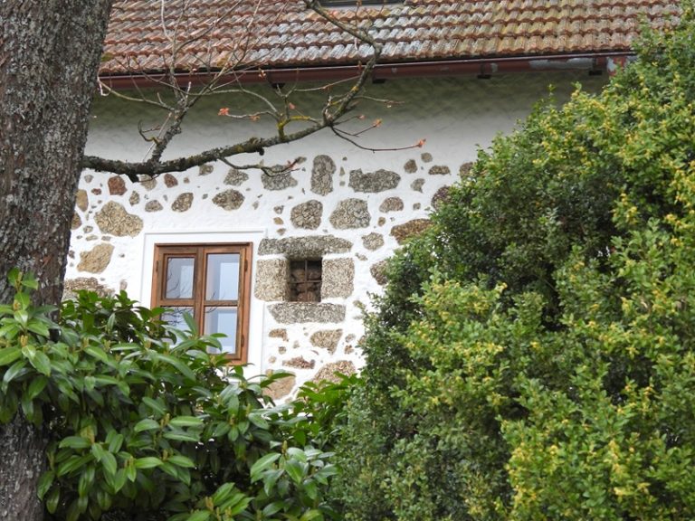 Ruttenstein quer (29)