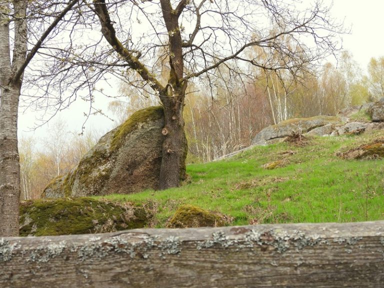 Ruttenstein quer (30)