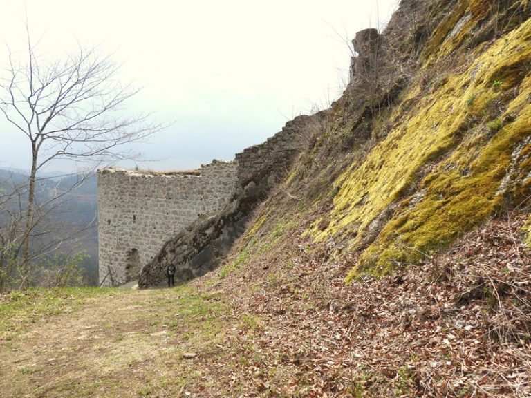 Ruttenstein quer (37)