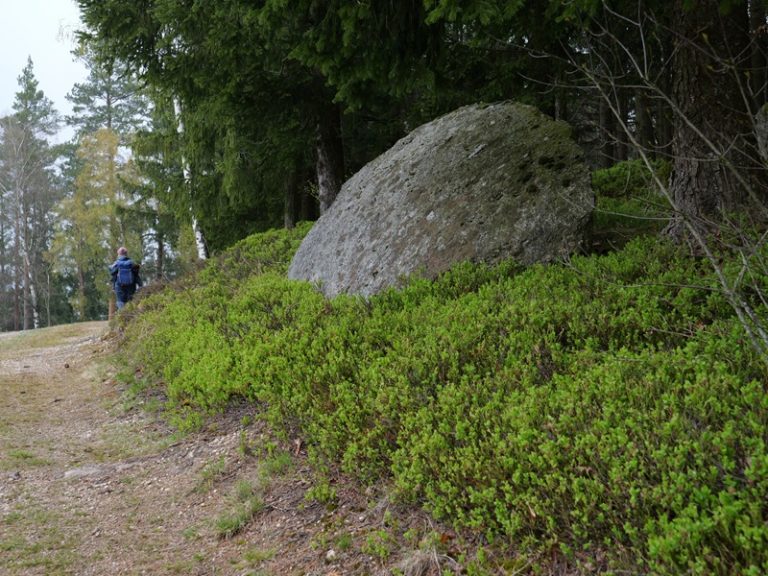Ruttenstein quer (5)