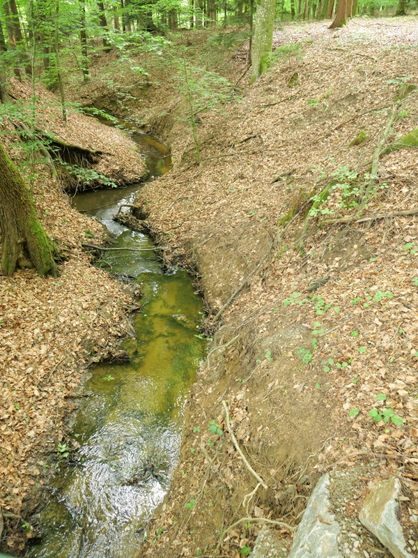 Schielleiten hoch (10)