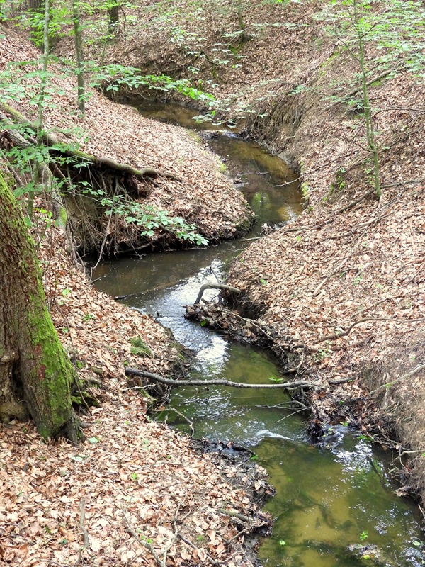 Schielleiten hoch (3)