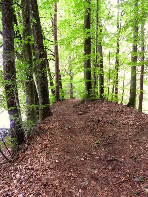 Schielleiten hoch (4)