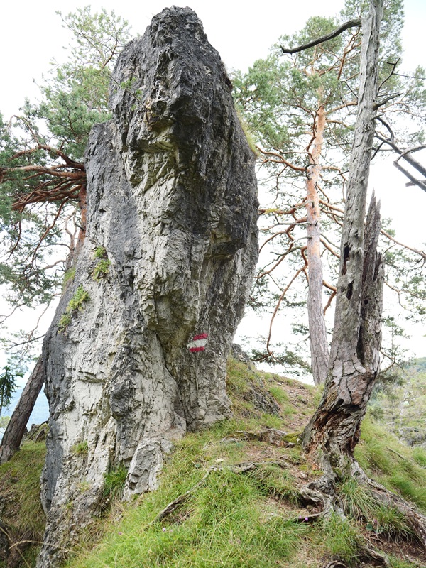 Königsgraben hoch (1)