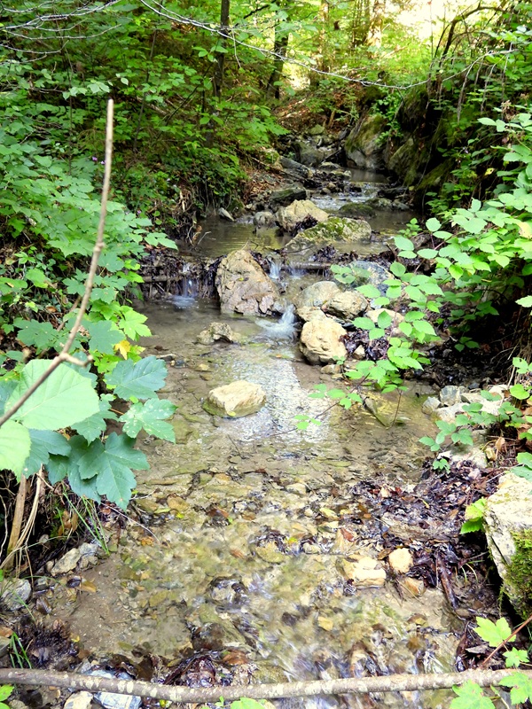 Königsgraben hoch (10)