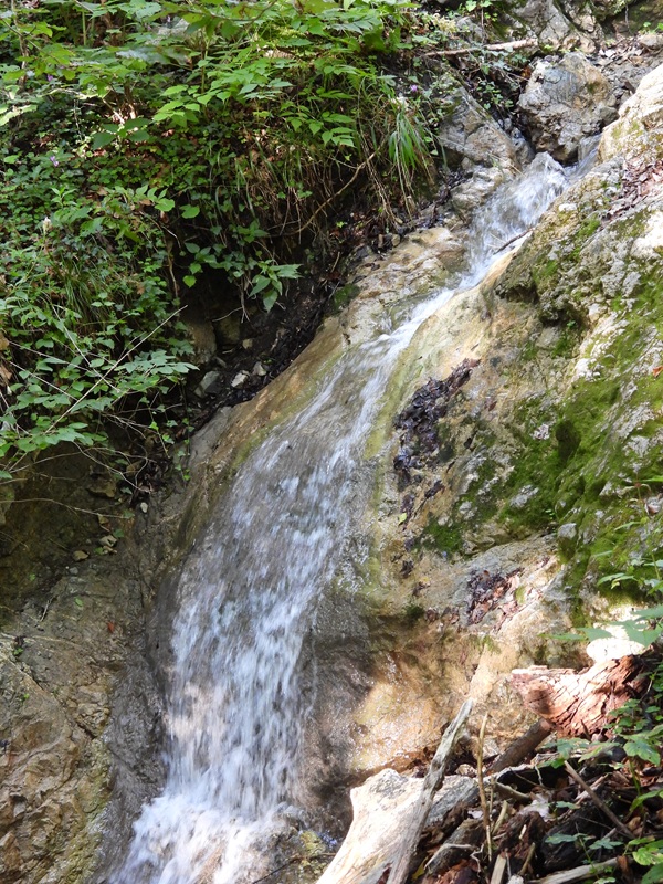 Königsgraben hoch (11)