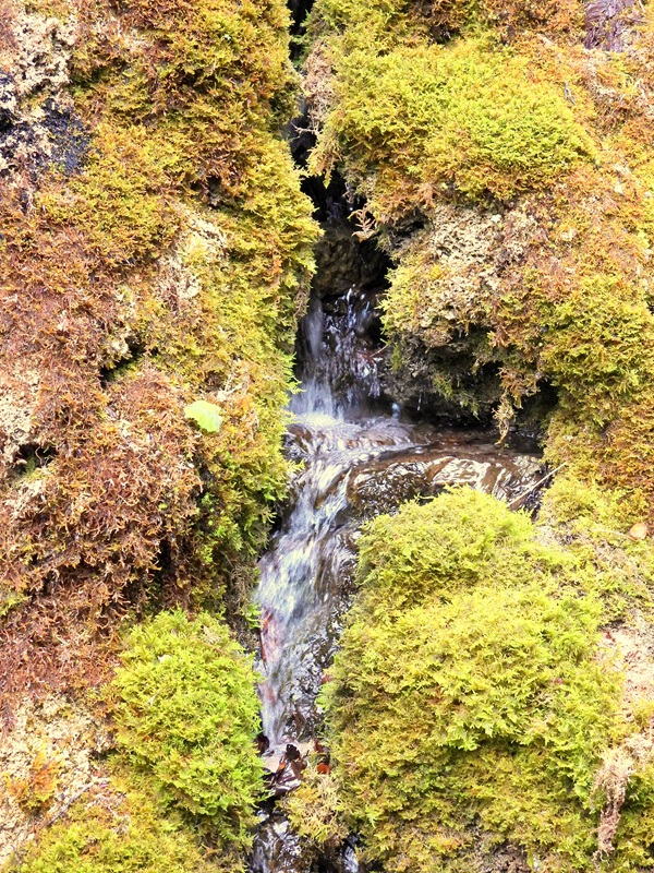 Königsgraben hoch (12)